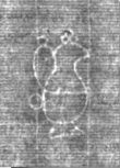 Wasserzeichen IS5000-02-0156_24r