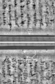 Wasserzeichen FR7600-300_150
