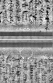 Wasserzeichen FR7600-300_151