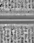 Wasserzeichen FR7600-300_164