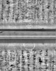 Wasserzeichen FR7600-300_173