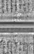 Wasserzeichen FR7600-300_181