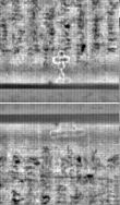Wasserzeichen FR7600-300_196