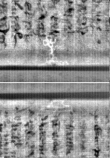 Wasserzeichen FR7600-300_213