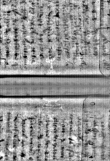 Wasserzeichen FR7600-300_219
