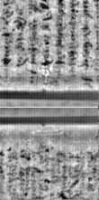 Wasserzeichen FR7600-300_221