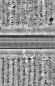 Wasserzeichen FR7600-300_230