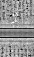 Wasserzeichen FR7600-300_237