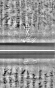 Wasserzeichen FR7600-300_254