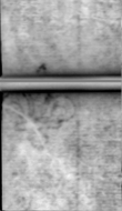 Wasserzeichen DE5580-Muspr35Beibd2Bassus_d2
