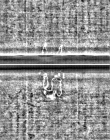 Wasserzeichen FR7600-318_9