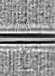 Wasserzeichen FR7600-318_10