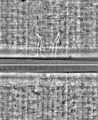 Wasserzeichen FR7600-318_51