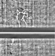 Wasserzeichen FR7600-310_25