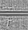 Wasserzeichen FR7600-310_35