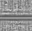 Wasserzeichen FR7600-310_41