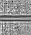 Wasserzeichen FR7600-310_51