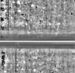 Wasserzeichen FR7600-310_86