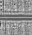 Wasserzeichen FR7600-310_102