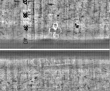 Wasserzeichen FR7600-310_164