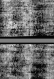 DE5580-4Muspr155Cantus_C3 - Typ:0 - ID: 164232 - Eintrag Nr.: 80 Wasserzeichen DE5580-4Muspr155Cantus_C3