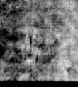 Wasserzeichen DE5580-4Muspr155Beibd13Bassus_R2