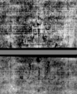 Wasserzeichen DE5580-4Muspr155Beibd13Bassus_R3