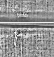 Wasserzeichen FR7600-310_191