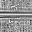 Wasserzeichen FR7600-310_203