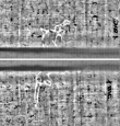 Wasserzeichen FR7600-310_222