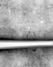 Wasserzeichen DE5580-Muspr35Tenor_G1