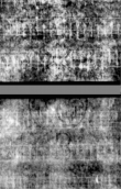 Wasserzeichen DE5580-4Muspr166Beibd1Cantus_A3