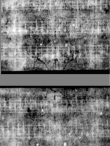 Wasserzeichen DE5580-4Muspr166Beibd1Cantus_C1
