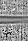 Wasserzeichen FR7600-310_235