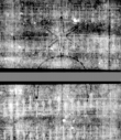 Wasserzeichen DE5580-4Muspr166Beibd2Resolutio_I3