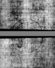 Wasserzeichen DE5580-4Muspr430Tenor_G1