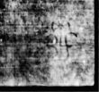 Wasserzeichen DE5580-4Muspr434Tenor_I3