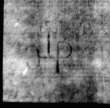 Wasserzeichen DE5580-4Muspr435Tenor_H4