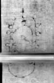 Wasserzeichen DE5580-Muspr35Beibd1Cantus_a1
