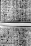 Wasserzeichen DE5580-Muspr35Beibd1Tenor_G3