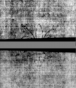 Wasserzeichen DE5580-4Muspr2427Beibd1Bassus_CC3