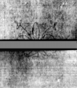 Wasserzeichen DE5580-4Muspr2427Beibd2Tenor_Bb3