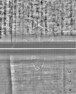 Wasserzeichen FR7600-344_1