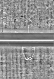 Wasserzeichen FR7600-344_5