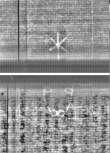 Wasserzeichen FR7600-344_14