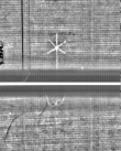 Wasserzeichen FR7600-344_27