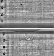 Wasserzeichen FR7600-344_38