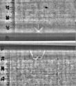 Wasserzeichen FR7600-344_52