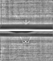 Wasserzeichen FR7600-344_65