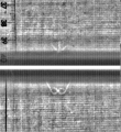 Wasserzeichen FR7600-344_77